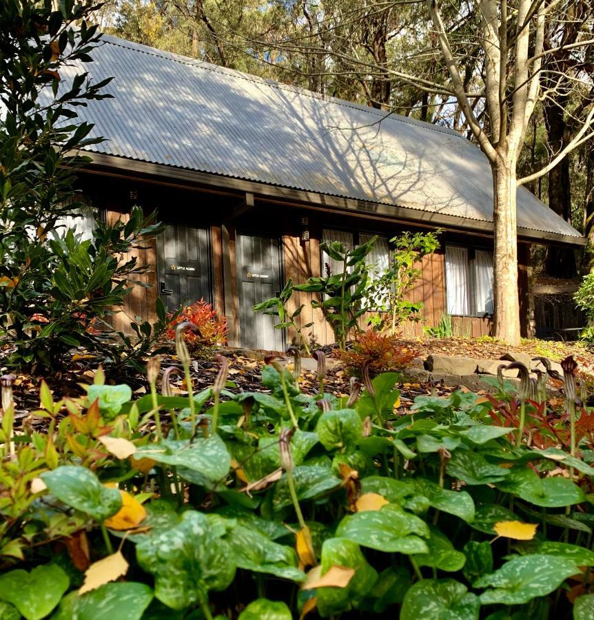 Emerald Star Cottages Exterior foto
